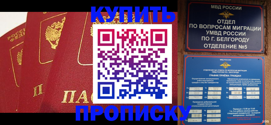 прописка для школы в Пскове